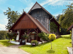 KOASA HOF Ferienwohnung
